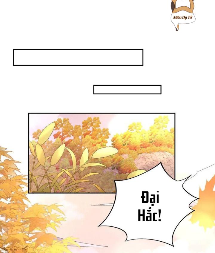 tổng tài bá đạo, đầu óc anh ấy có vấn đề chapter 1 4