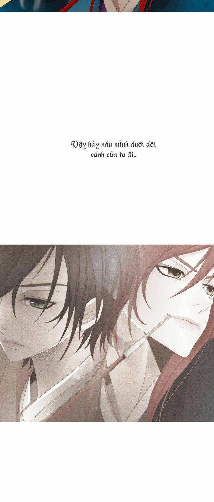 12 nights chapter 28 34