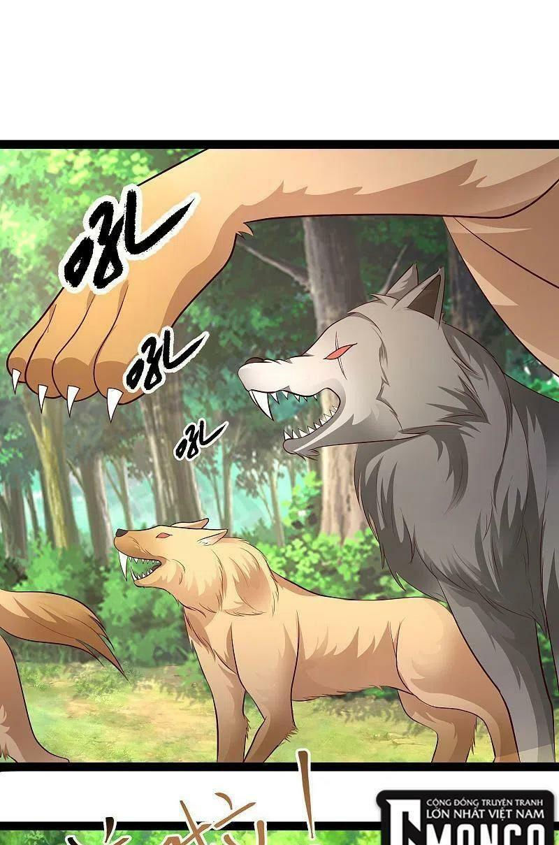 tối cường vận đào hoa chapter 258 1