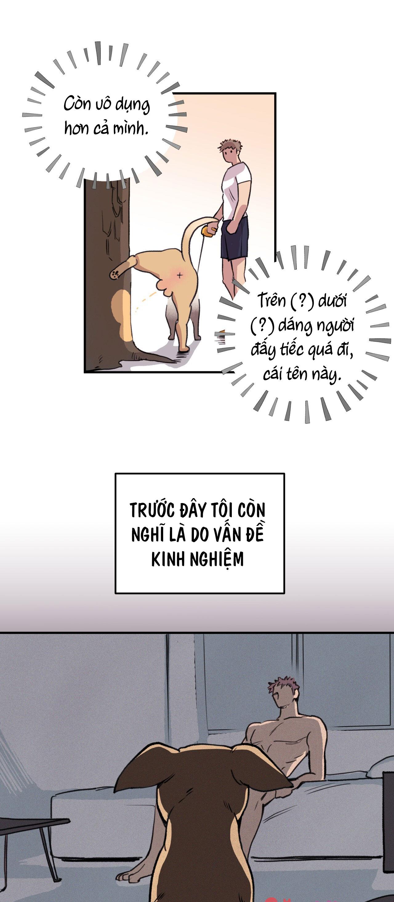 mật gấu chapter 1 6