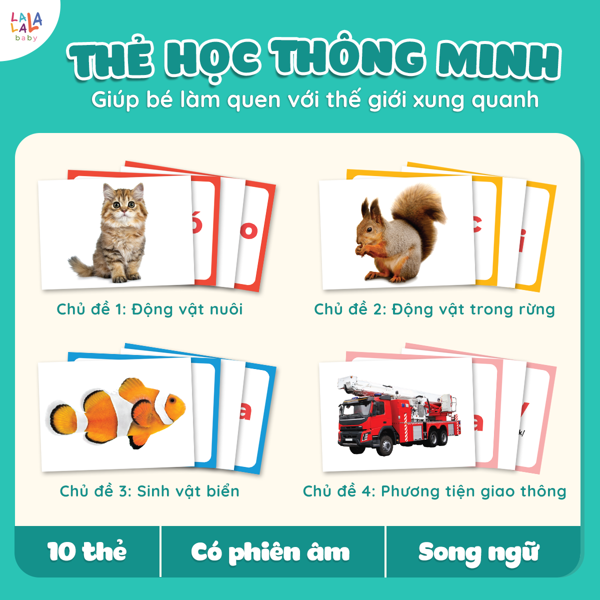 Flashcard Cho Bé - Bộ 100 Thẻ Học Thông Minh Giáo Giục Sớm Glenn Doman size A5 15x21cm song ngữ Anh Việt - Lalala Baby