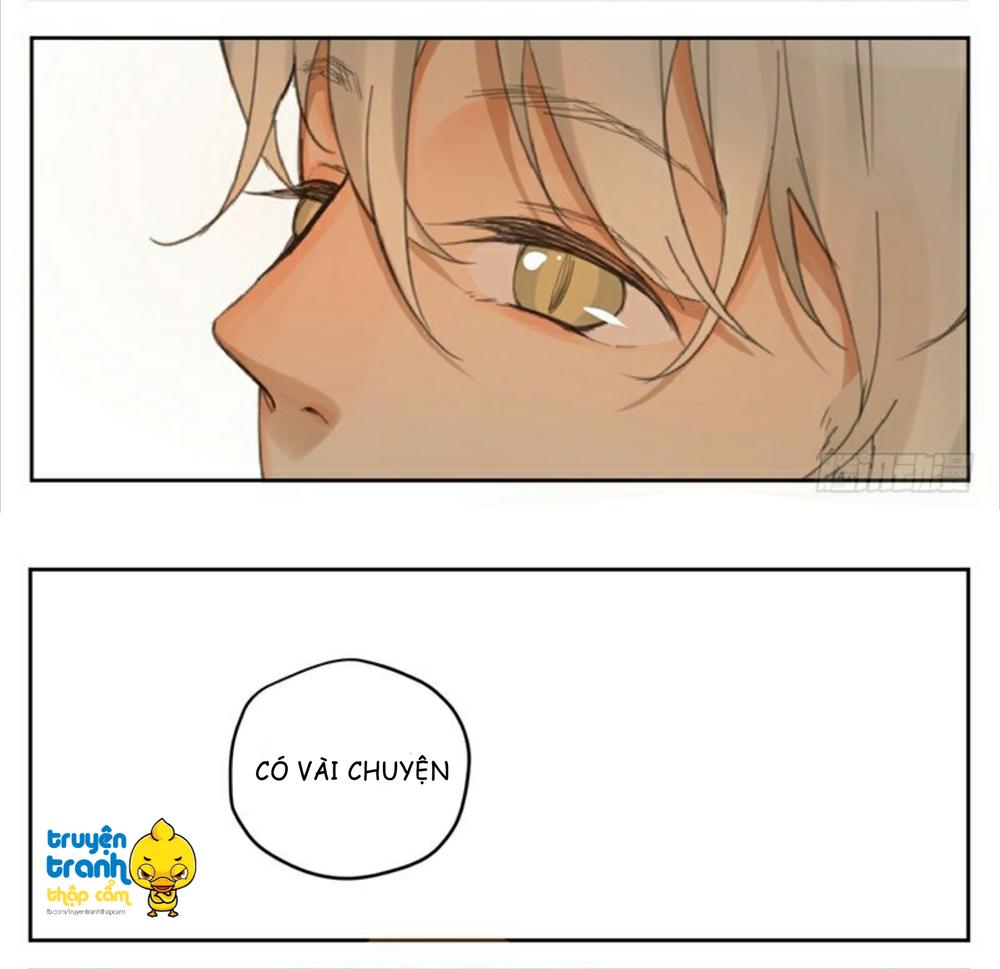 cứu mạng ! loài mèo thống trị thế giới rồi ! chapter 32 12