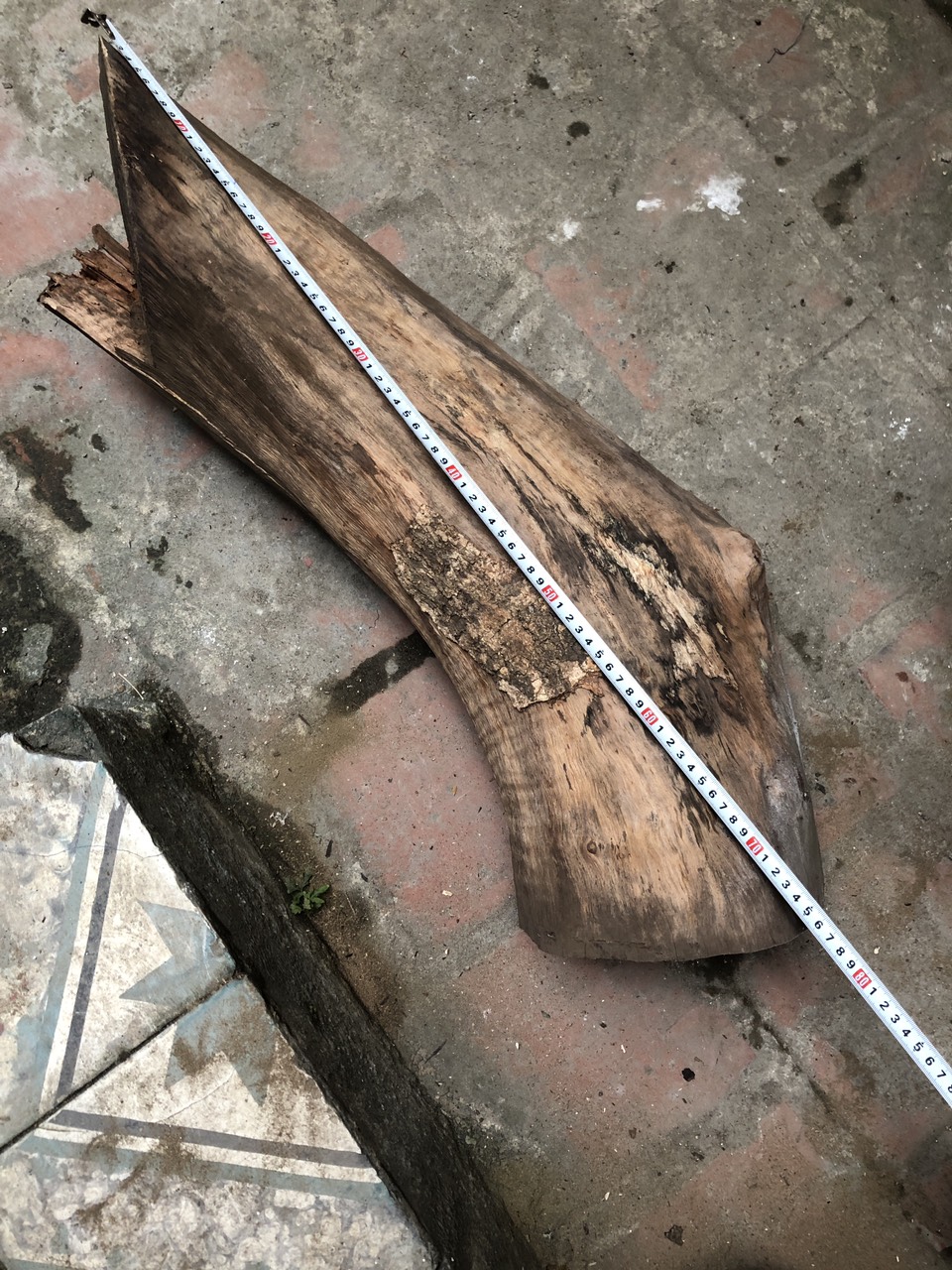 Gỗ nhãn ghé lan đường kính 21 cm dài 70 cm