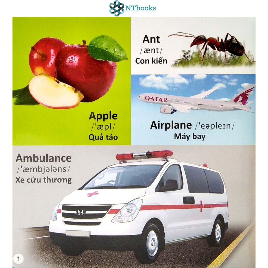 Sách 101 Từ đầu tiên: Bảng chữ cái Tiếng Anh