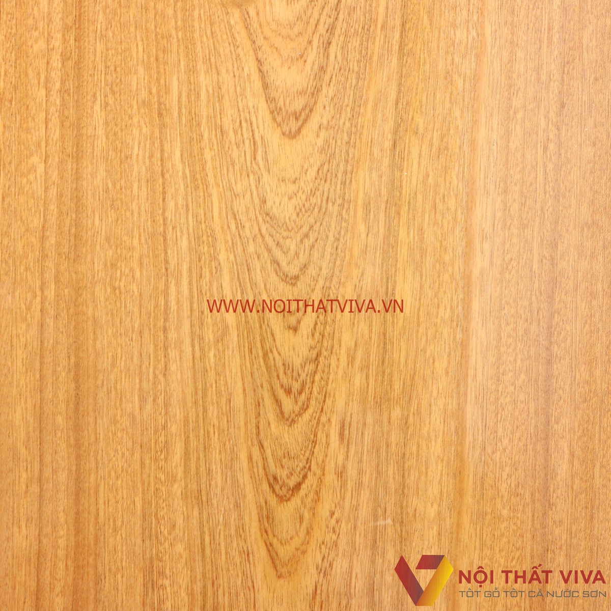 Kệ Tivi Gỗ Xoan Đào Đơn Đẹp Giá Rẻ