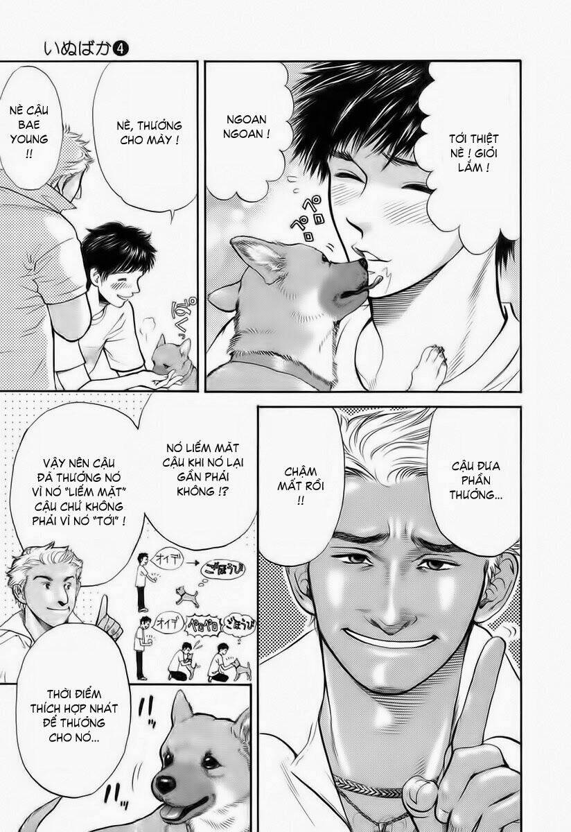 cô nàng yêu chó chapter 36 13