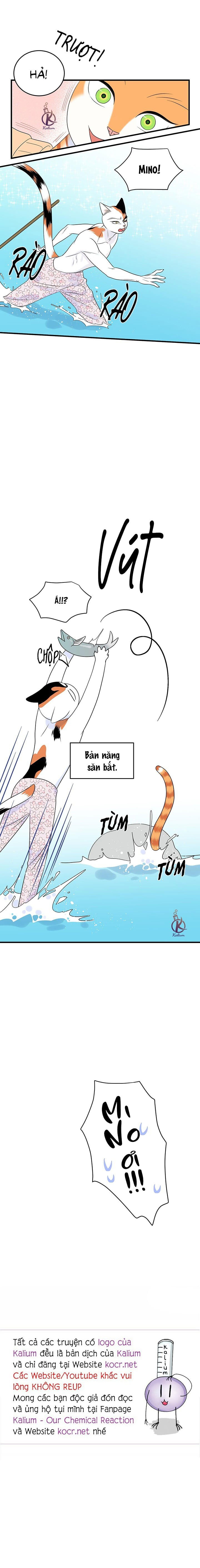 dự án xanh chapter 36 21