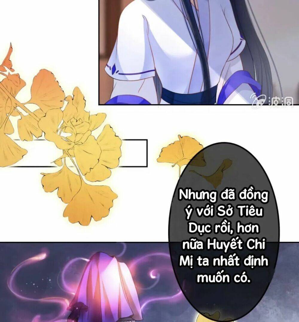 sủng phi của vương chapter 44.1 29