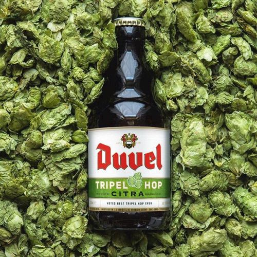 Lốc 6 Chai Bia Duvel Triple Hop Citra (330ml)