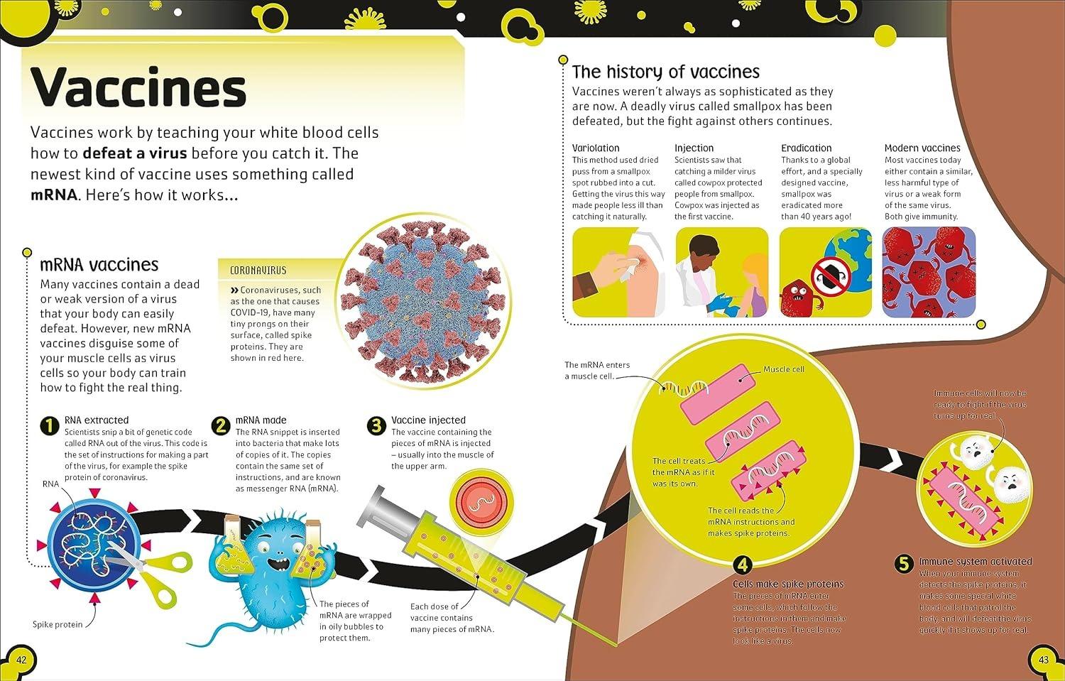 Sách ngoại văn: The Bacteria Book (New Edition)