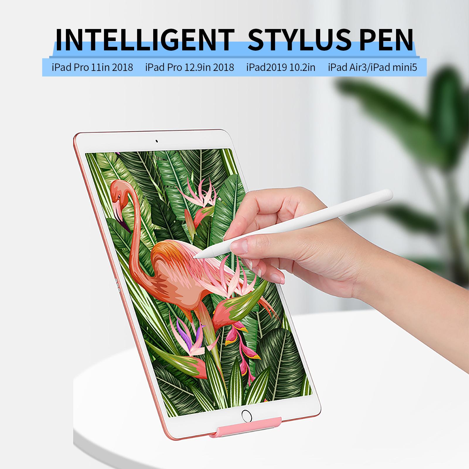 Bút cảm ứng BUBM LS-DRB-WF004 có hộp sạc thay thế cho iPad Pro 11in 2018 / iPad 2019 10.2in