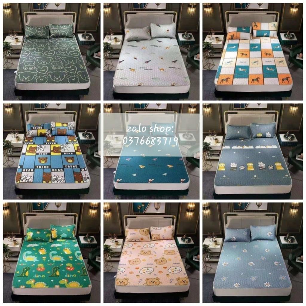 CHIẾU ĐIỀU HOÀ LOẠI 1