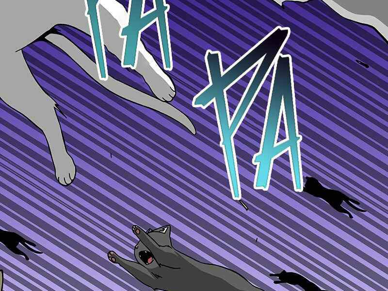 đấng cứu thế được chọn lựa chapter 12 138