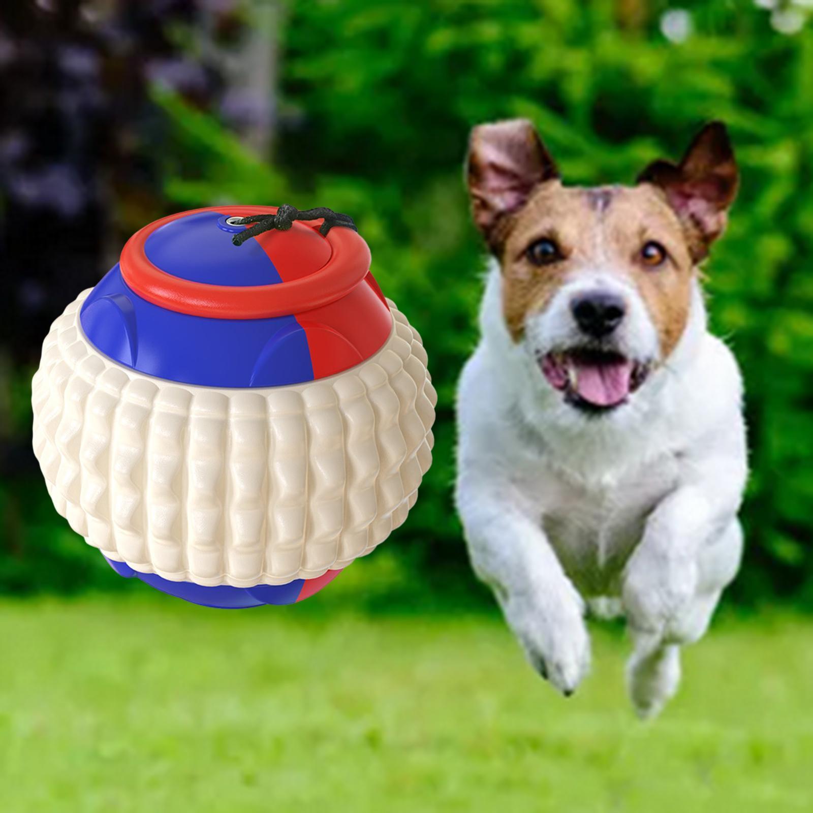 Dog Chew Toys  for Interactive