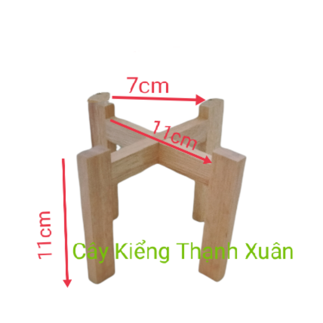 Đôn Gỗ MINI Để Chậu Cây, Kích thước Cao 11x Rộng 11cm, Lọt Lòng chậu 10cm