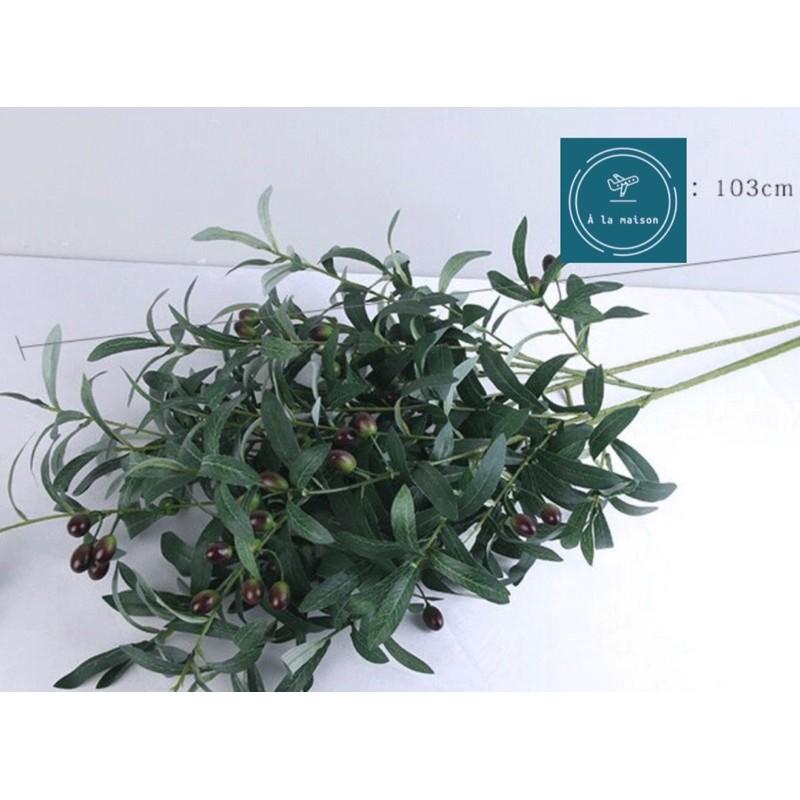 Cành lá olive có quả trang trí nhà, hoa decor chụp ảnh cao cấp