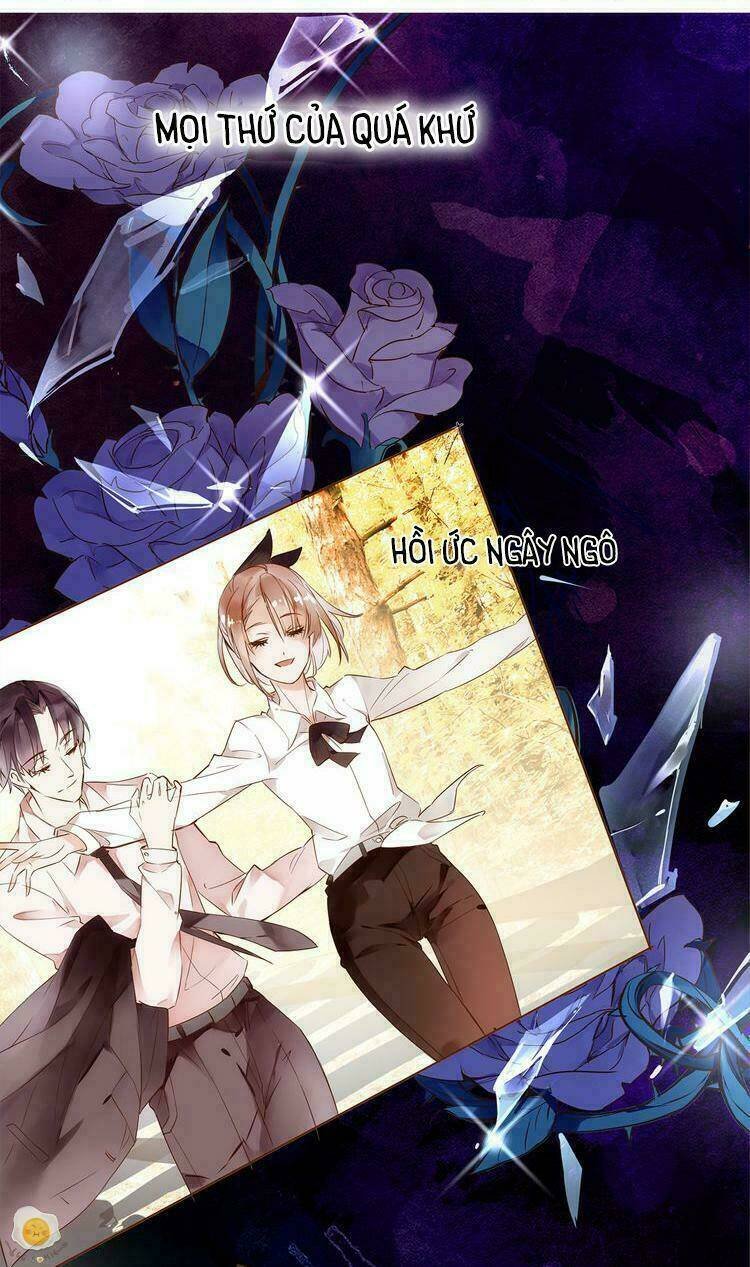 nở rộ trên bụi gai chapter 2 18