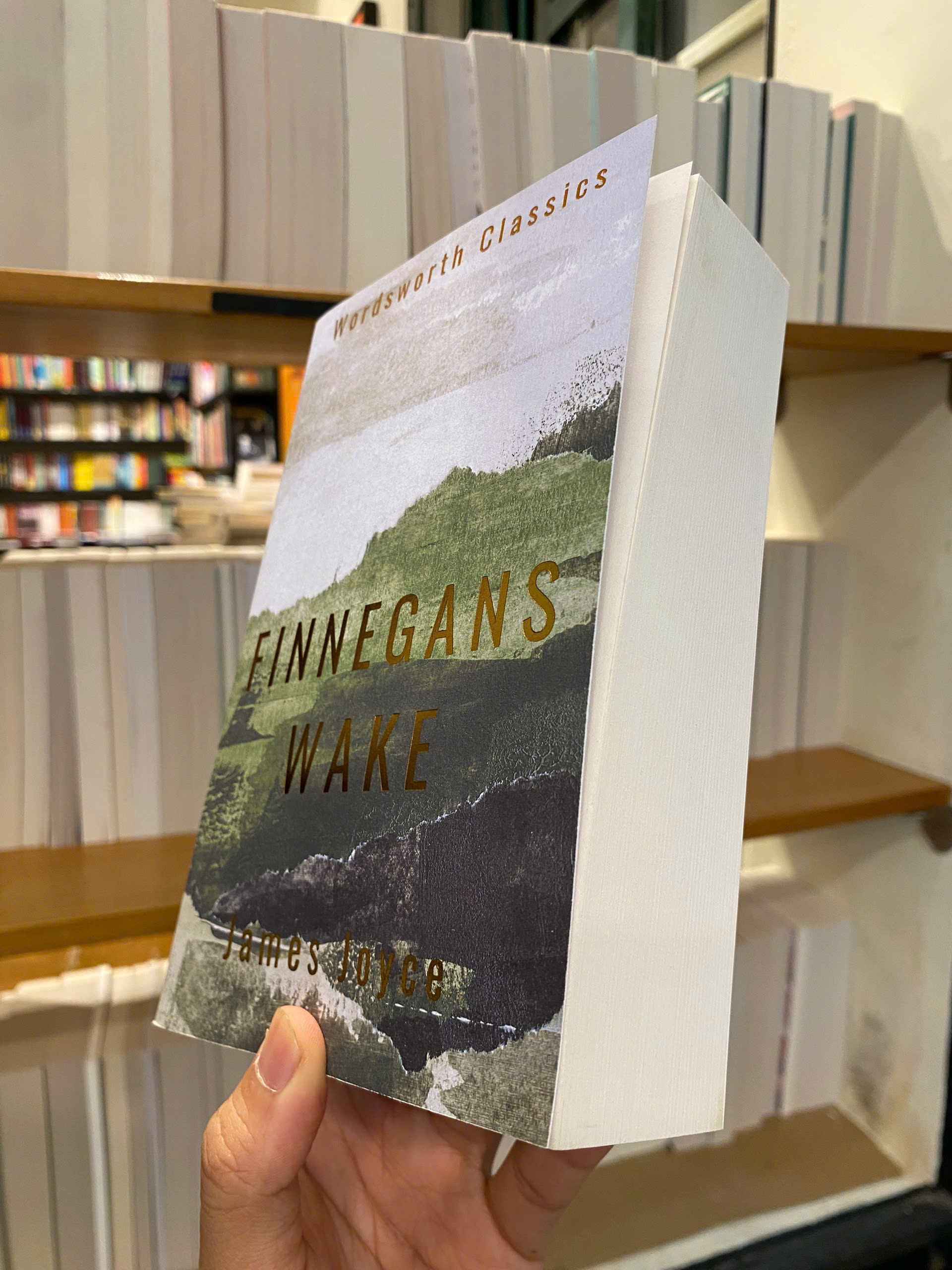 Sách - Finnegans Wake by James Joyce | Classic Literature / Ngoại văn Kinh điển Nhập khẩu