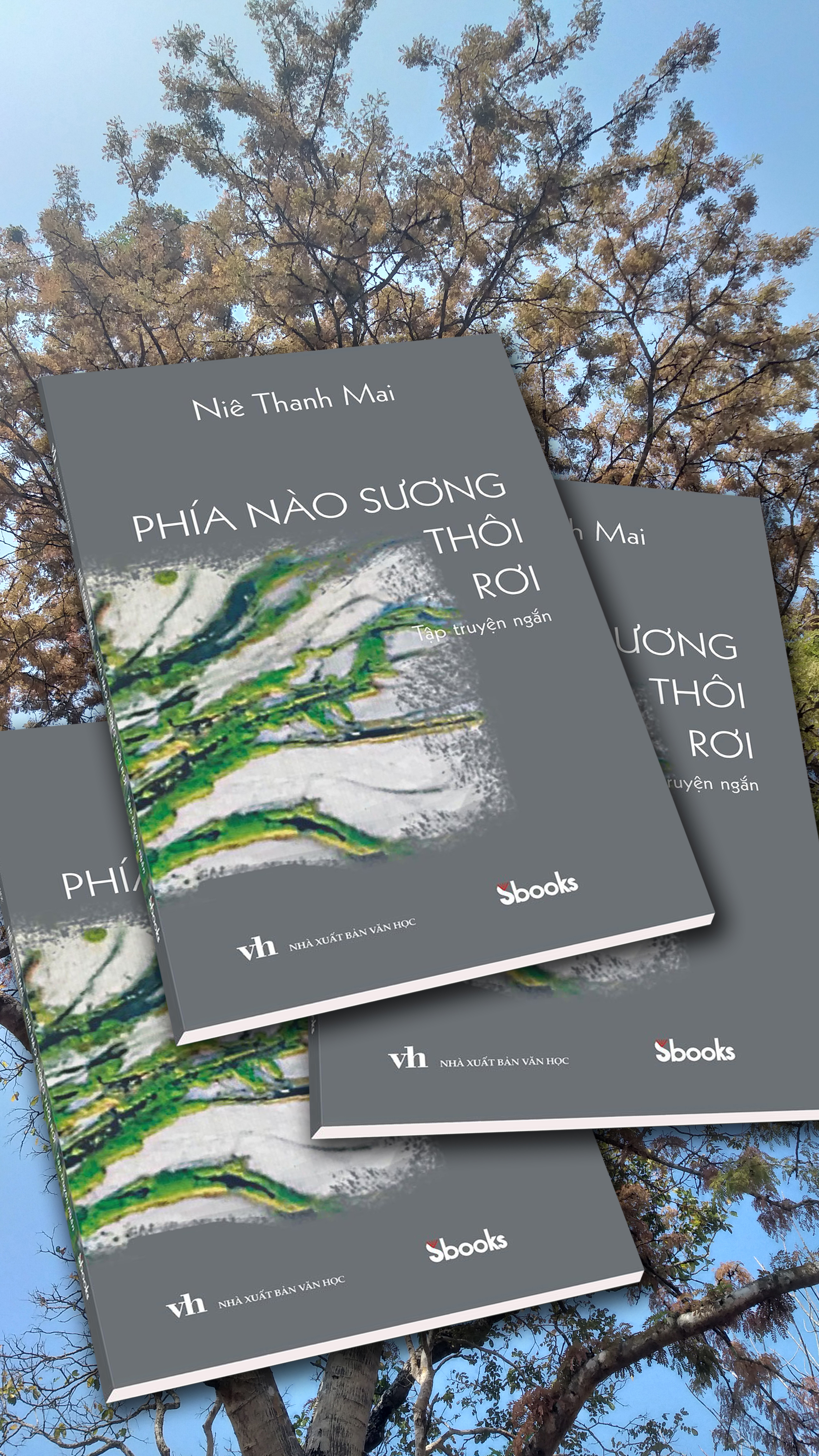 Phía Nào Sương Thôi Rơi - Niê Thanh Mai