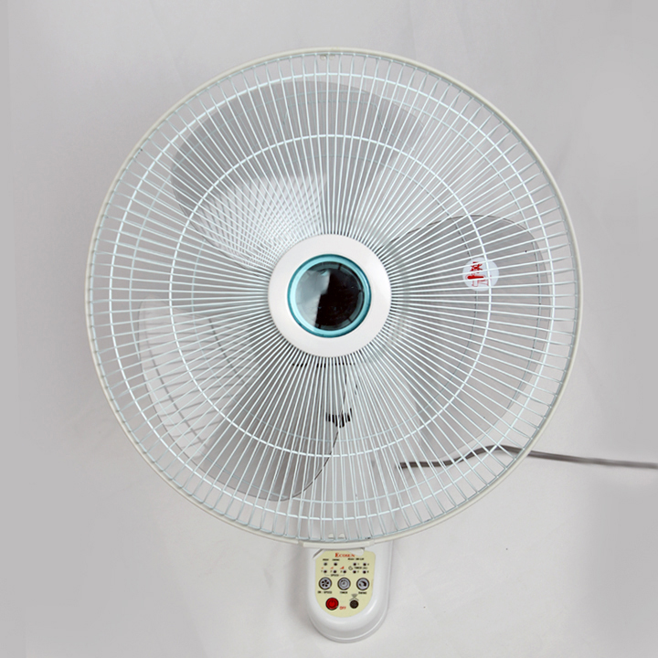 Quạt treo có điều khiển Ecosun BM-8JR