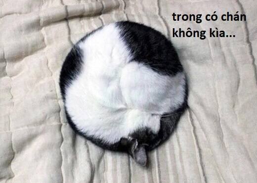 sự lụi tàn của usuzumi chapter 107 85