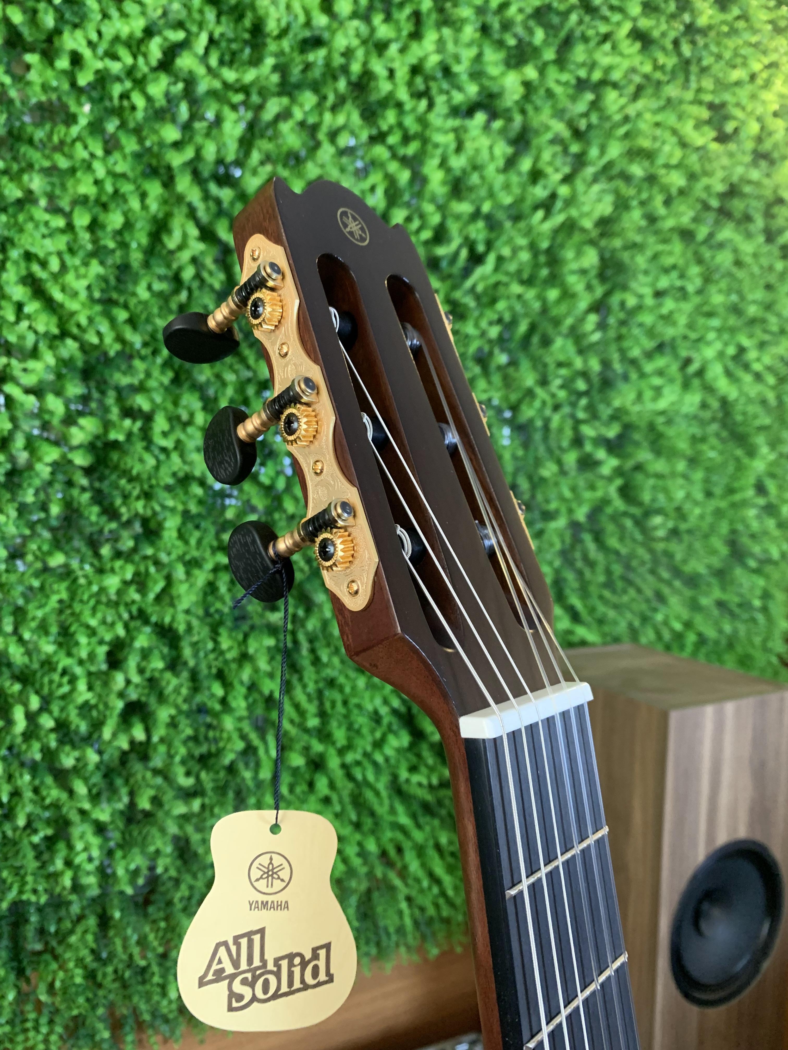 Đàn Guitar Nylon Yamaha NCX3C