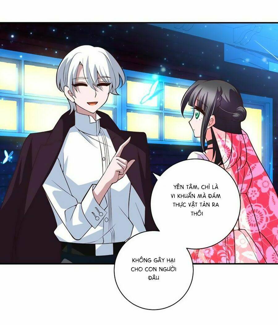 người yêu khát máu của tôi chapter 66 5