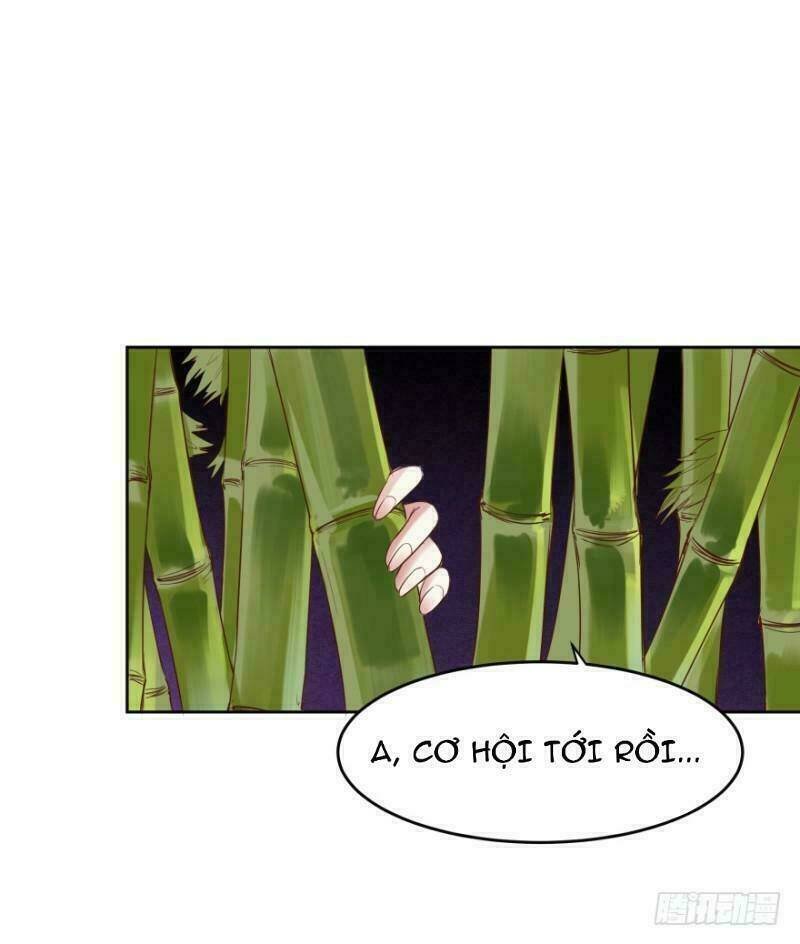 mộ thiếu, lão bà ngươi trọng sinh lại rồi! chapter 48 28