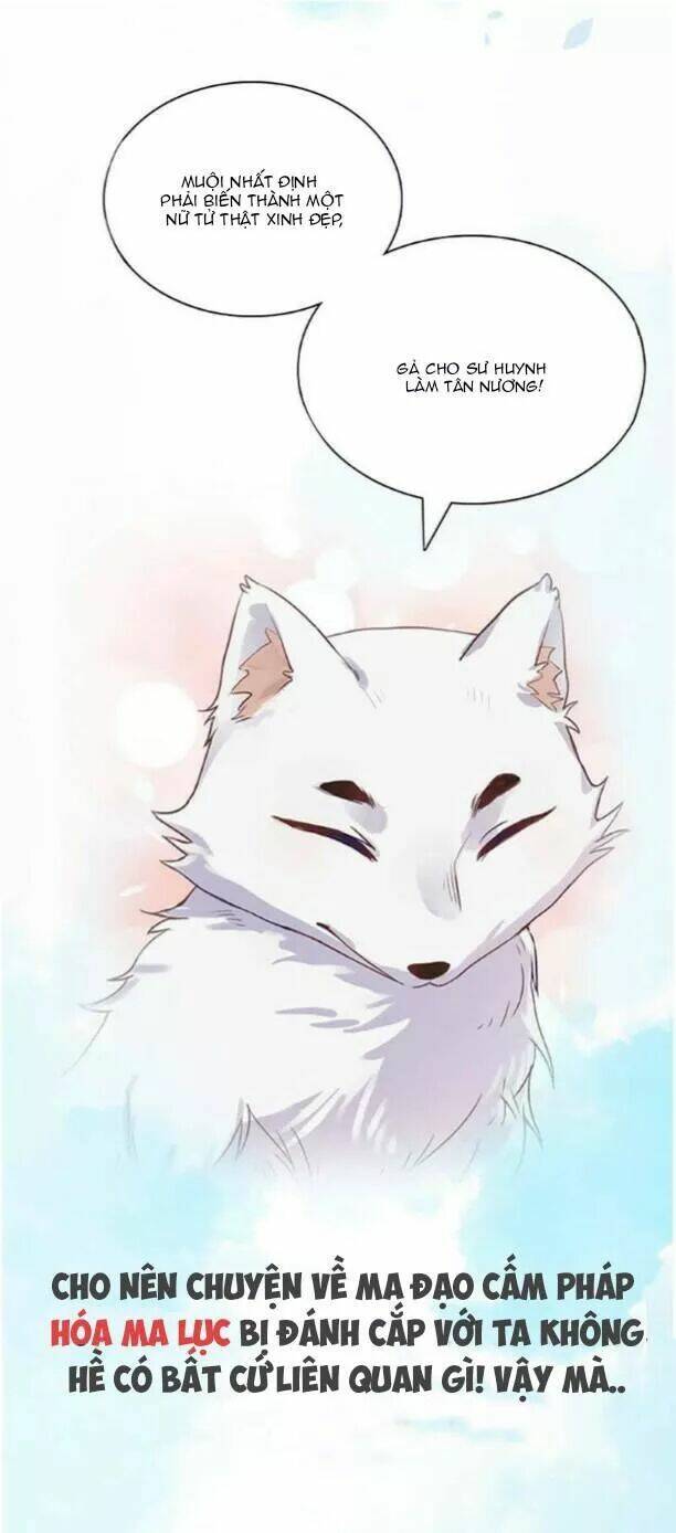 dụ ái tiểu hồ tiên chapter 0 3