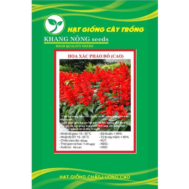 Hạt Giống Hoa/Xác/Pháo/Cao Đỏ KNS3676- Gói 50 hạt