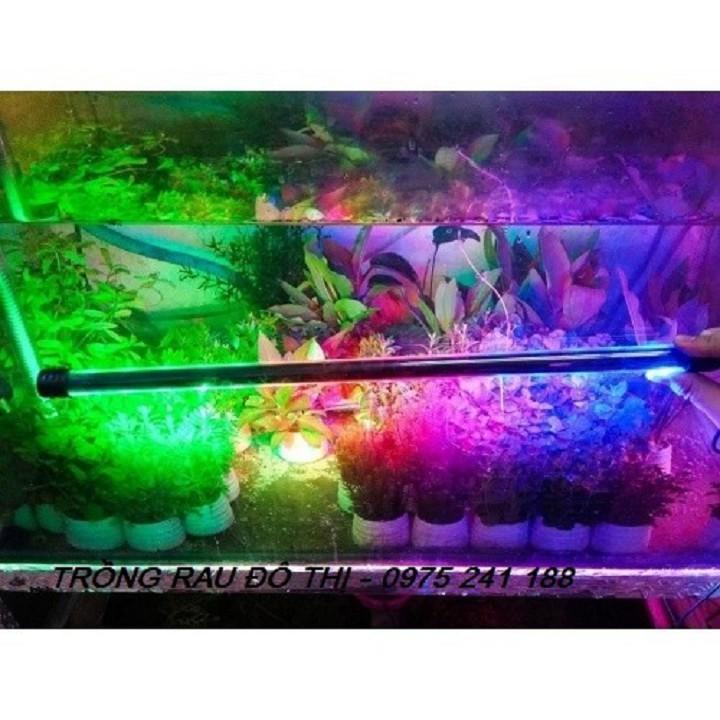 Đèn led bể cá T4-60, siêu sáng, 10W, dài 58.5cm, dùng cho bể 60-80cm