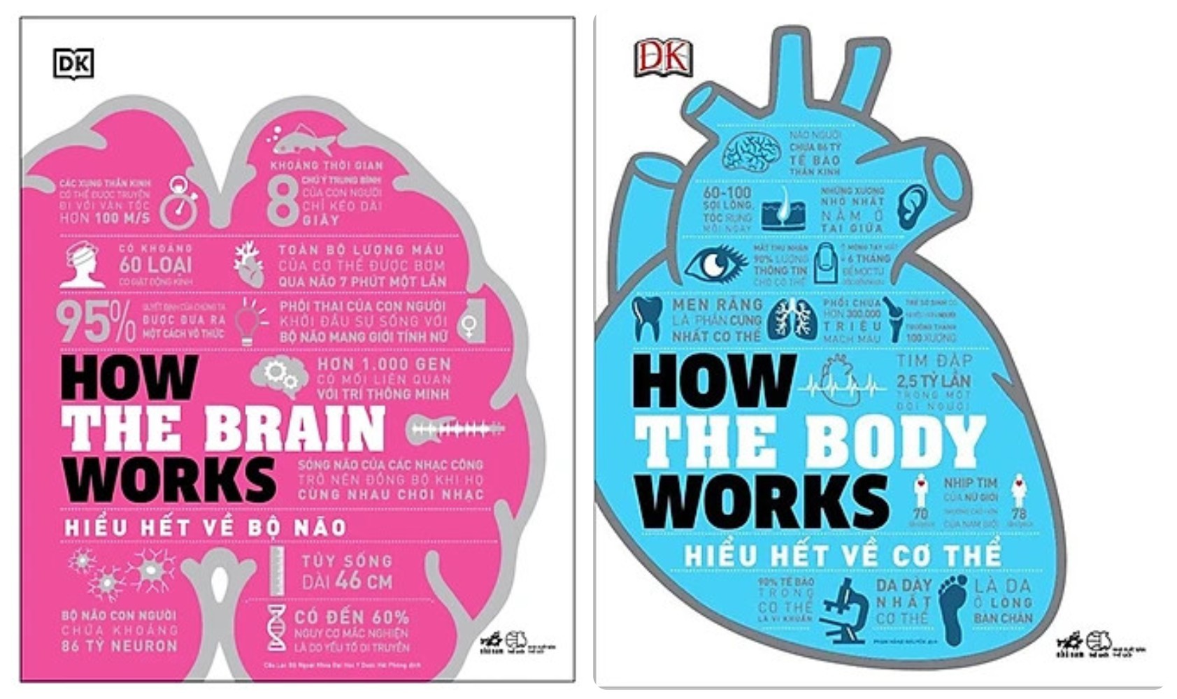 Combo 2Q: Hiểu Hết Về Bộ Não - How The Brain Works + Hiểu Hết Về Cơ Thể - How The Body Works