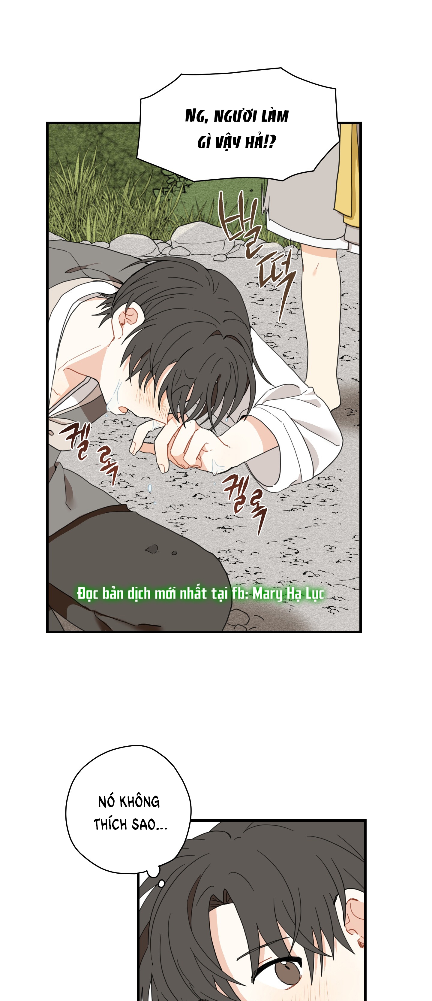 [18+] con đường hoa chuông vàng - liên kiều rơi chốn này chapter 5.1 20