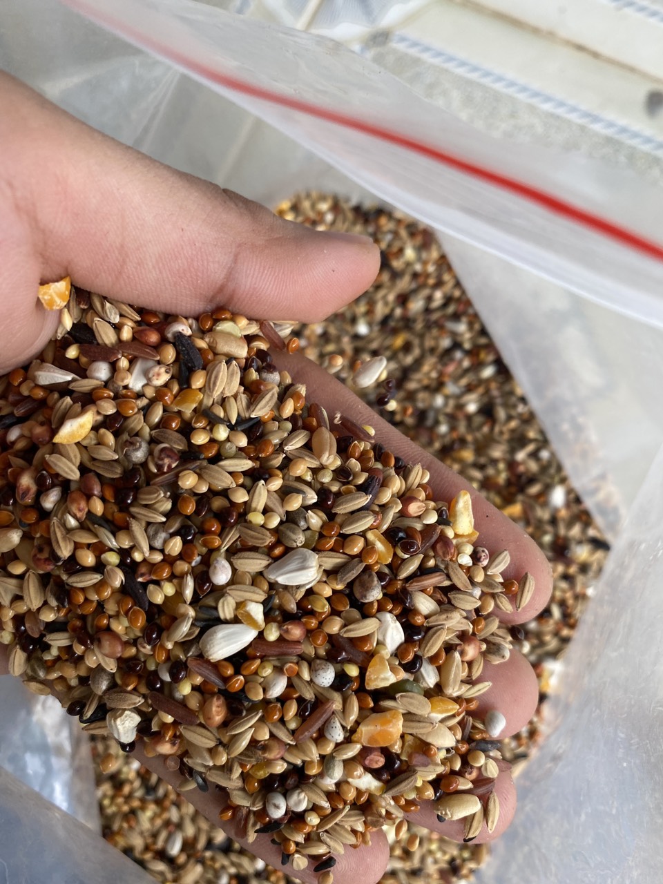 2kg hạt 15 loại ngũ cốc thiên nhiên 100% tăng cường dinh dưỡng giú chim cu cực sung