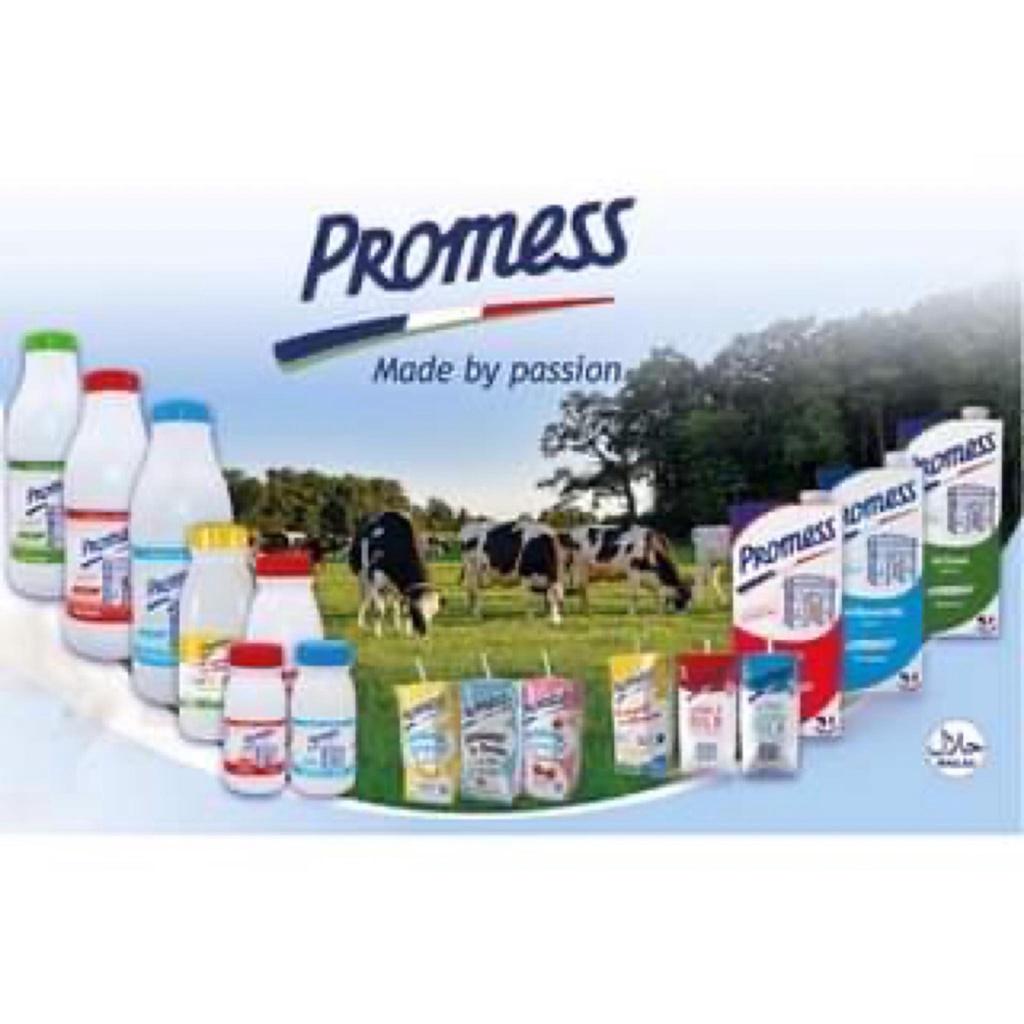 Sữa Tươi Vị Dâu Promess 200ml - Nhập Khẩu Pháp