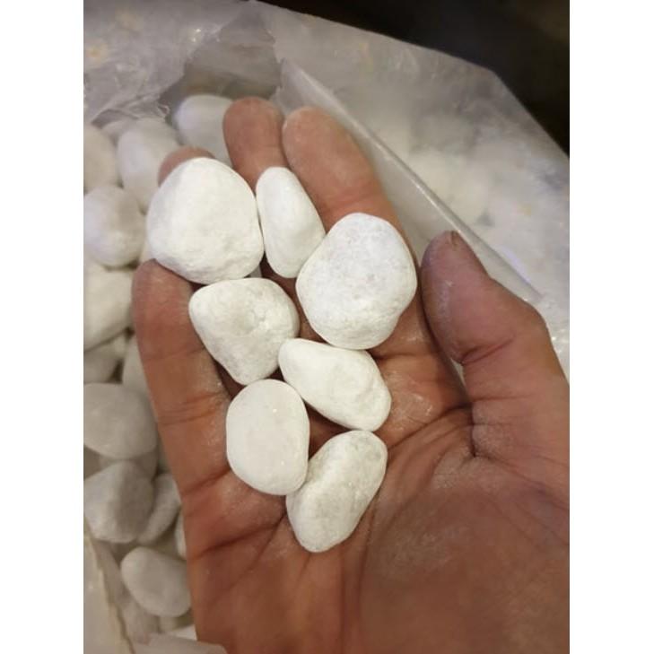 Sỏi Trắng 500Gram Trang Trí Bể Cá, Tiểu Cảnh, Cây Bon Sai,..