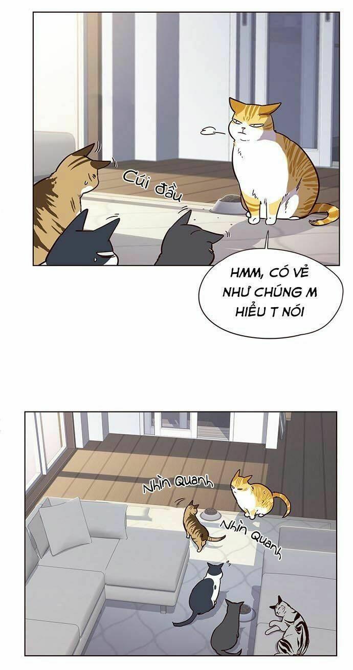 biến thân thành mèo chapter 9 36