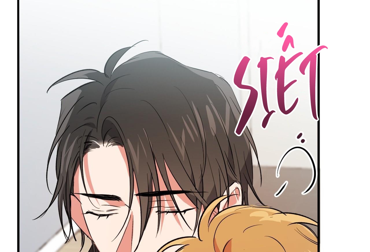 những chú thỏ của hapypy chapter 57 77