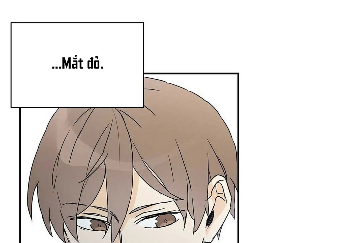 guide cấp b chapter 4 26