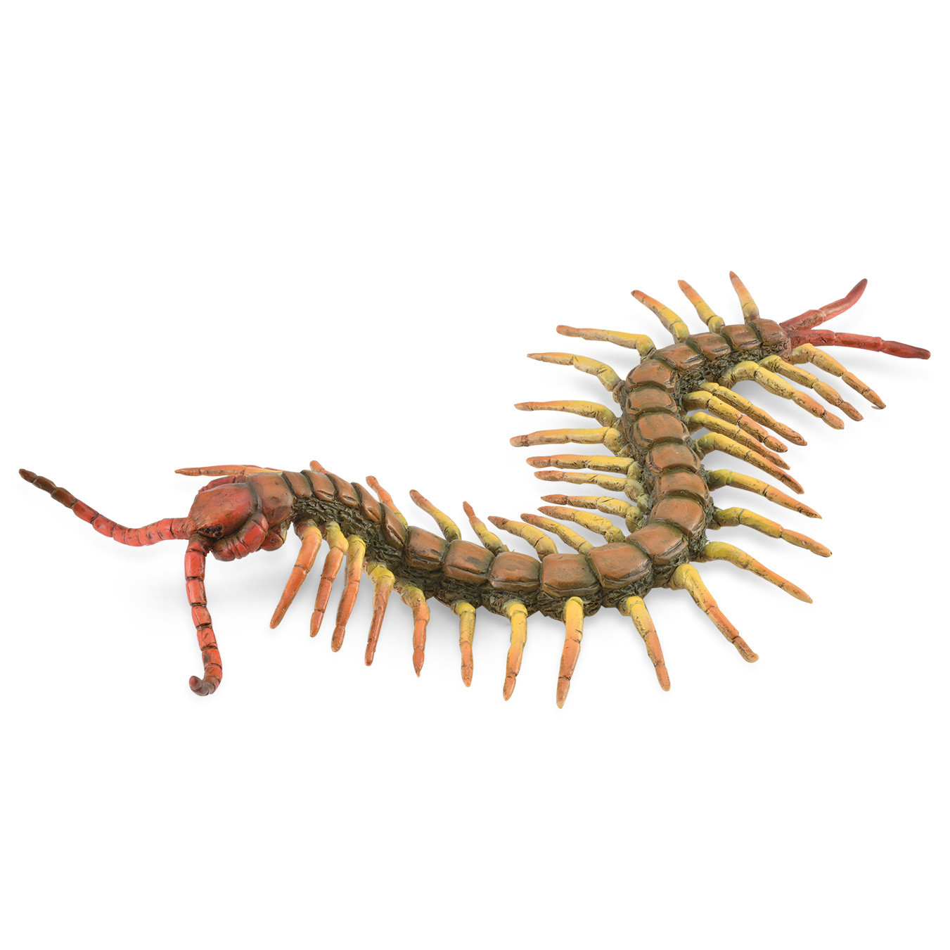 Mô hình thu nhỏ: Rết - Centipede, hiệu: CollectA, mã HS 9653040 - Chất liệu an toàn cho trẻ - Hàng chính hãng