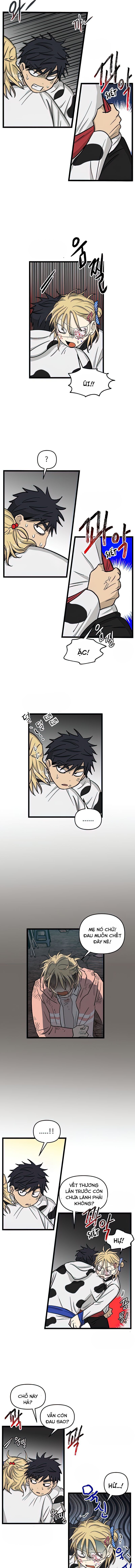 no home - không nhà chapter 164 4