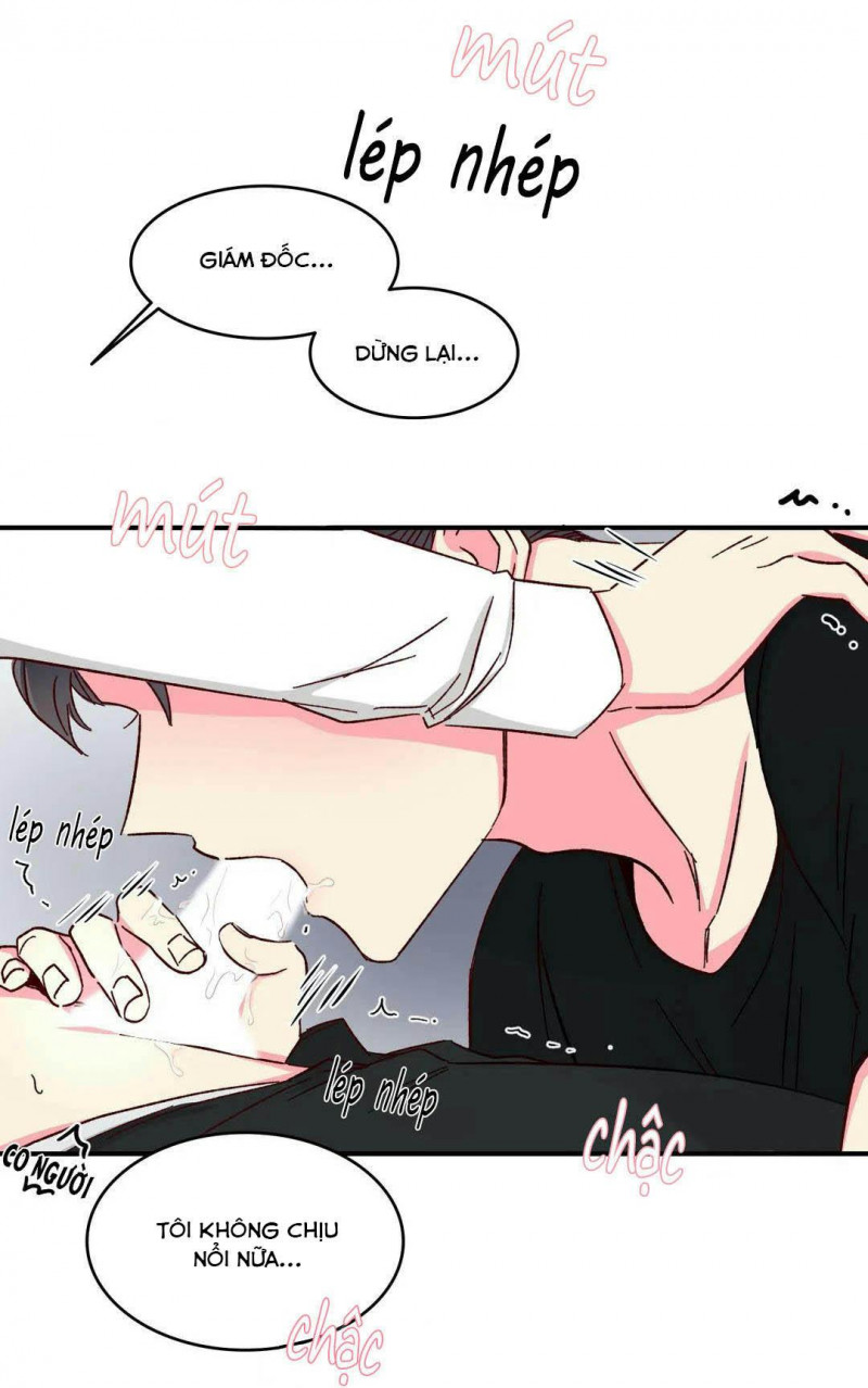 món tráng miệng của sếp tổng chapter 46 5