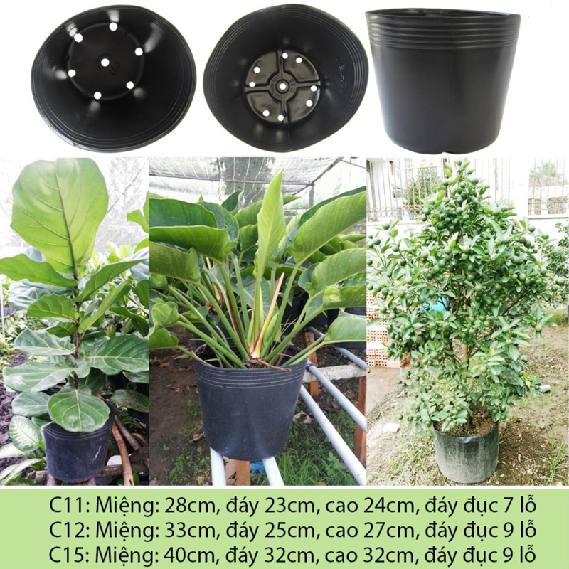 50 Chậu C10 25.5x20.5cm nhựa PE dẻo trồng cây bền từ 5 đến 10 năm-77105