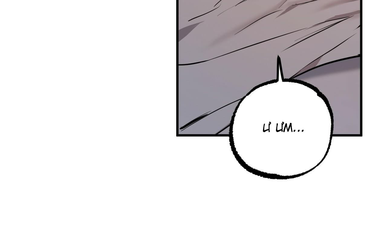 những chú thỏ của hapypy chapter 51 8