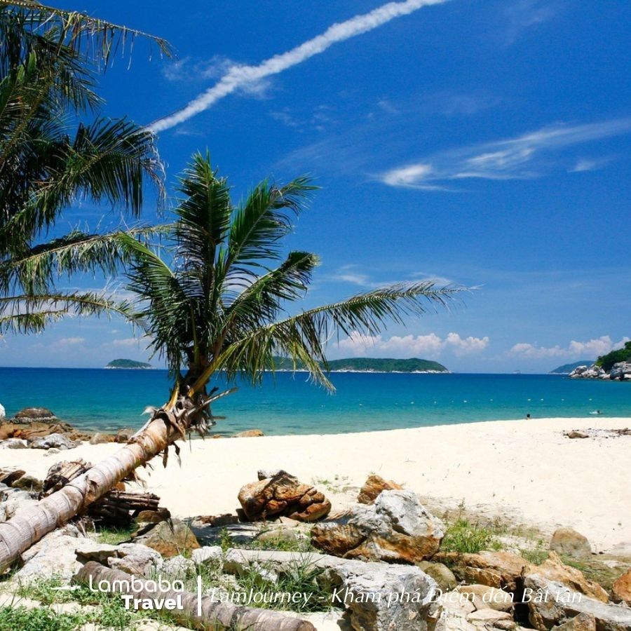 Tour Đà Nẵng Tour Cù Lao Chàm và lặn ngắm san hô 1 ngày
