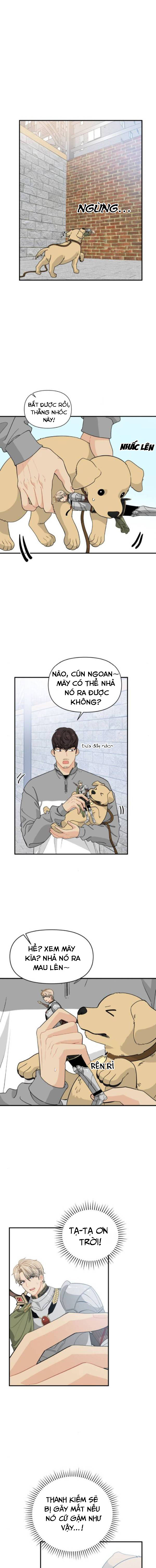 bảo vệ tôi, hiệp sĩ chapter 8 17