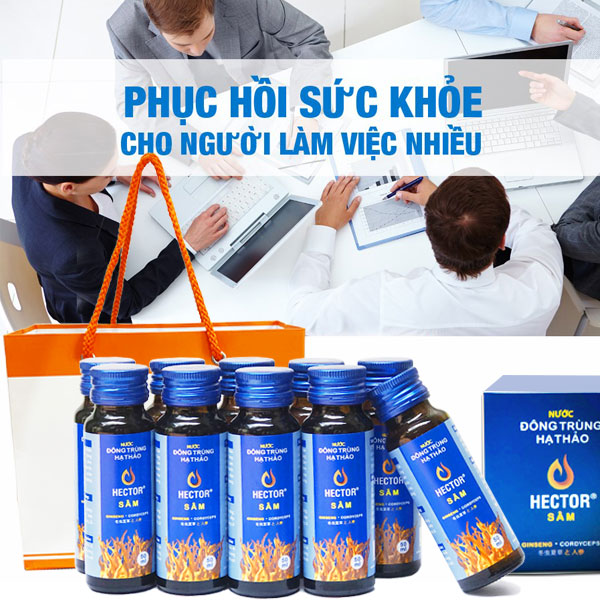 Combo 4 hộp 40Chai Hector Sâm Đông trùng hạ thảo (Date mới)