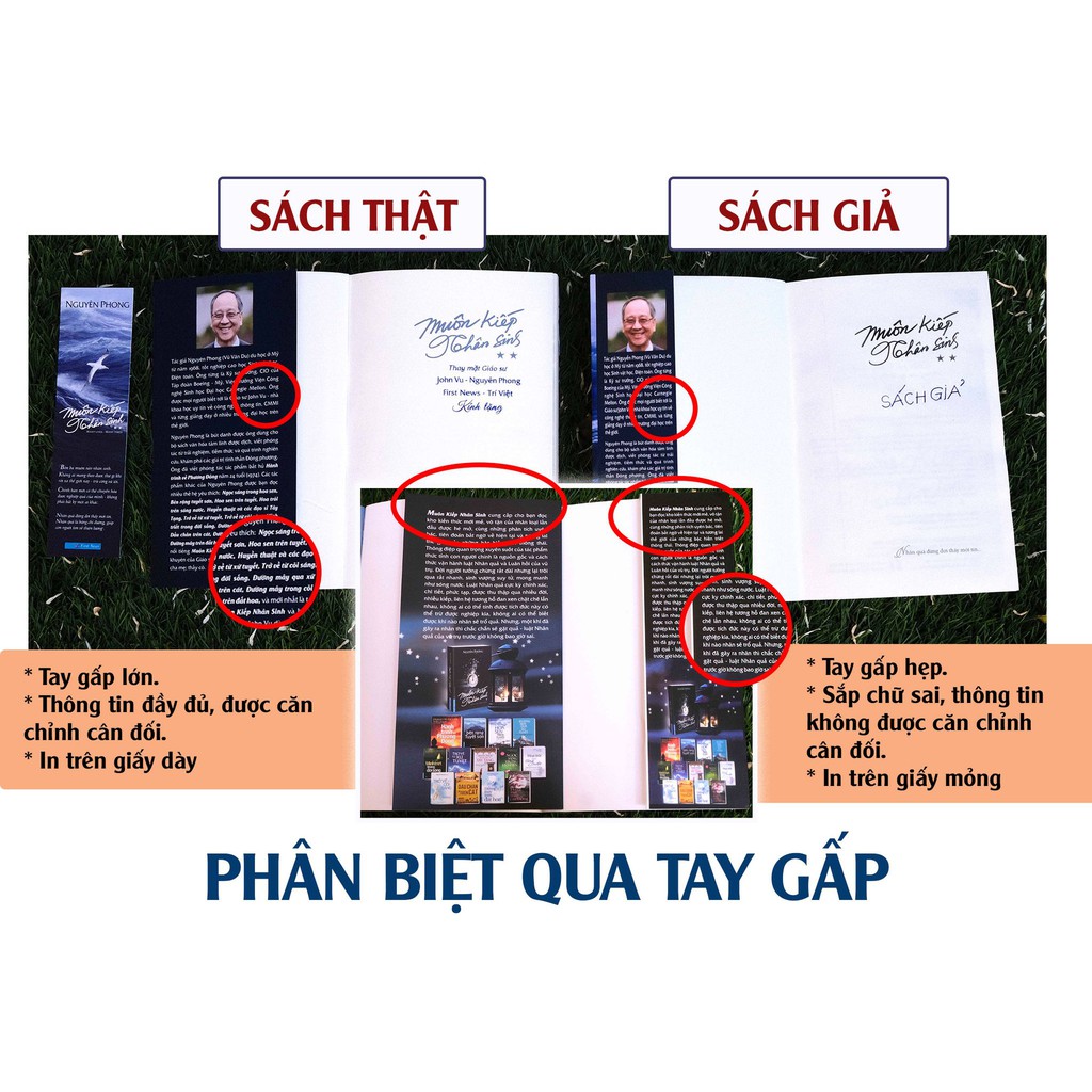 Sách - Combo Muôn Kiếp Nhân Sinh 1 + Muôn Kiếp Nhân Sinh 2 + Hành Trình Về Phương Đông - Bìa Mềm - First News - FIN