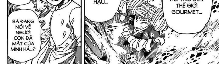 thánh tỏi sành ăn chapter 328 15