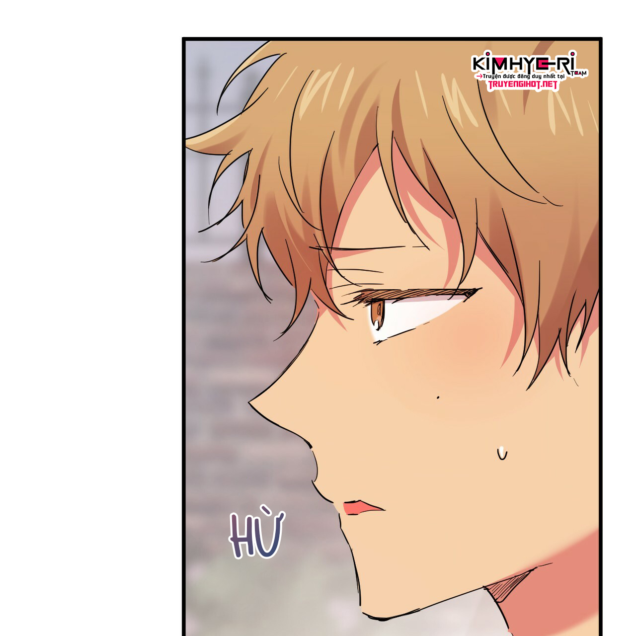 những chú thỏ của hapypy chapter 10 48